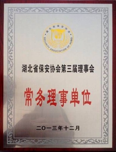 恭喜我司成功改版網(wǎng)站